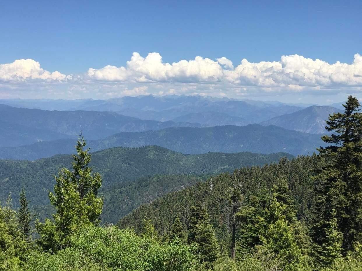 Bridgeville, Humboldt County, CA Undeveloped Land for sale Property ID