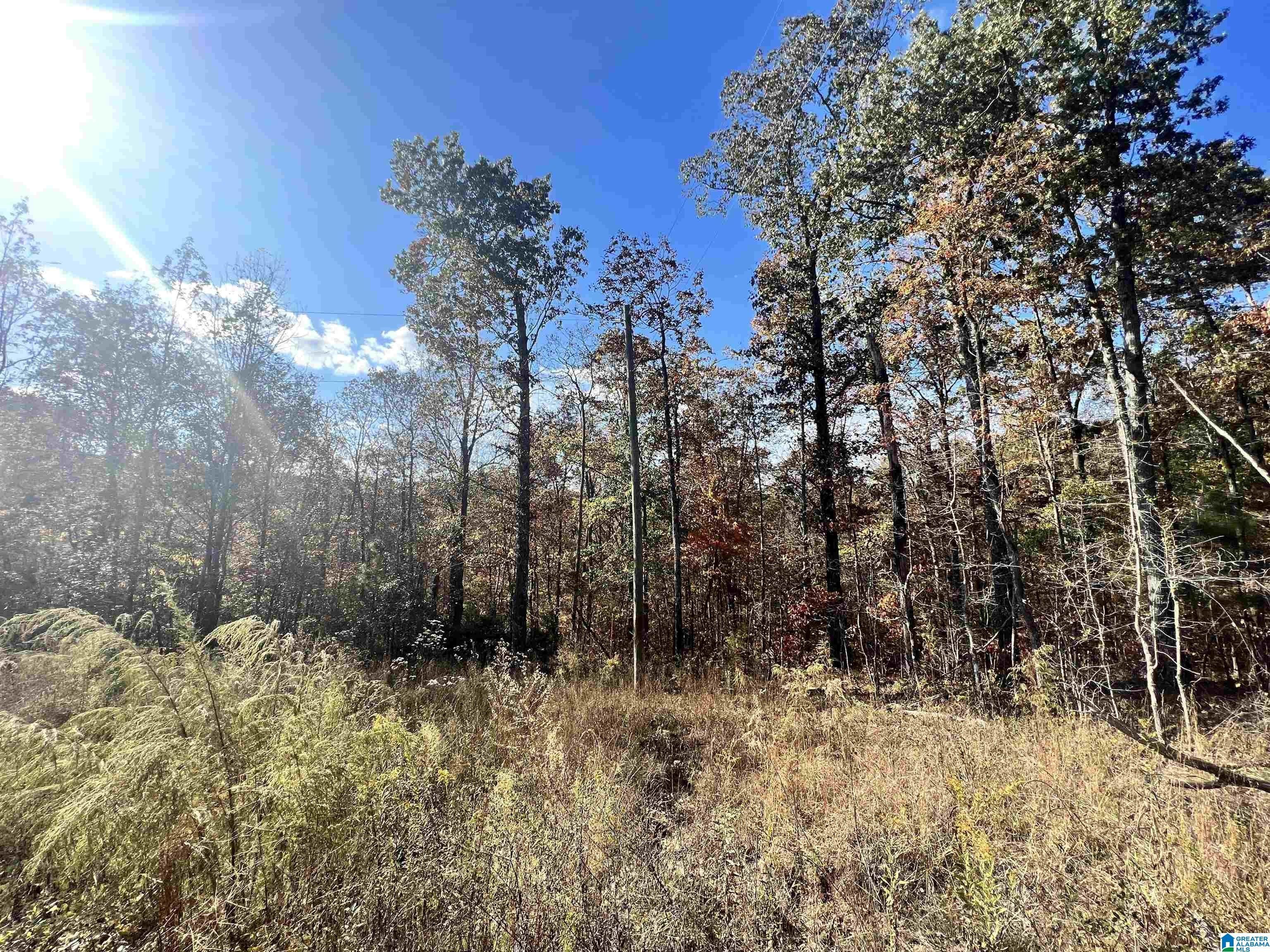 Remlap, Blount County, AL Undeveloped Land, Homesites for sale Property