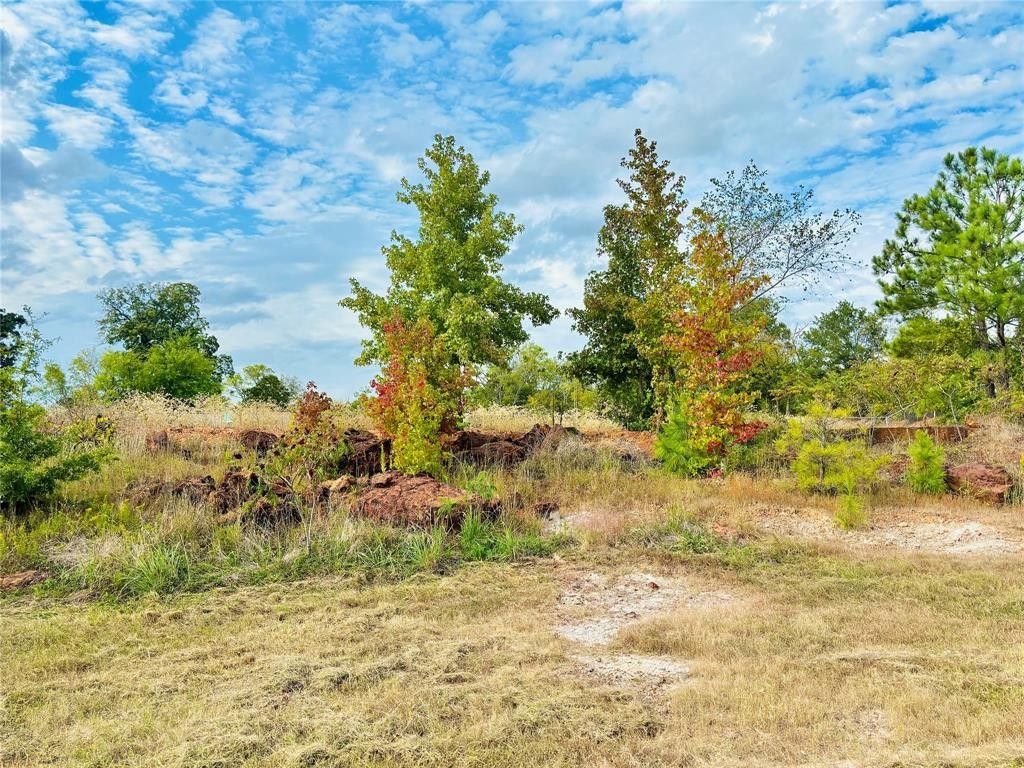 Quitman, Wood County, TX Undeveloped Land, Lakefront Property