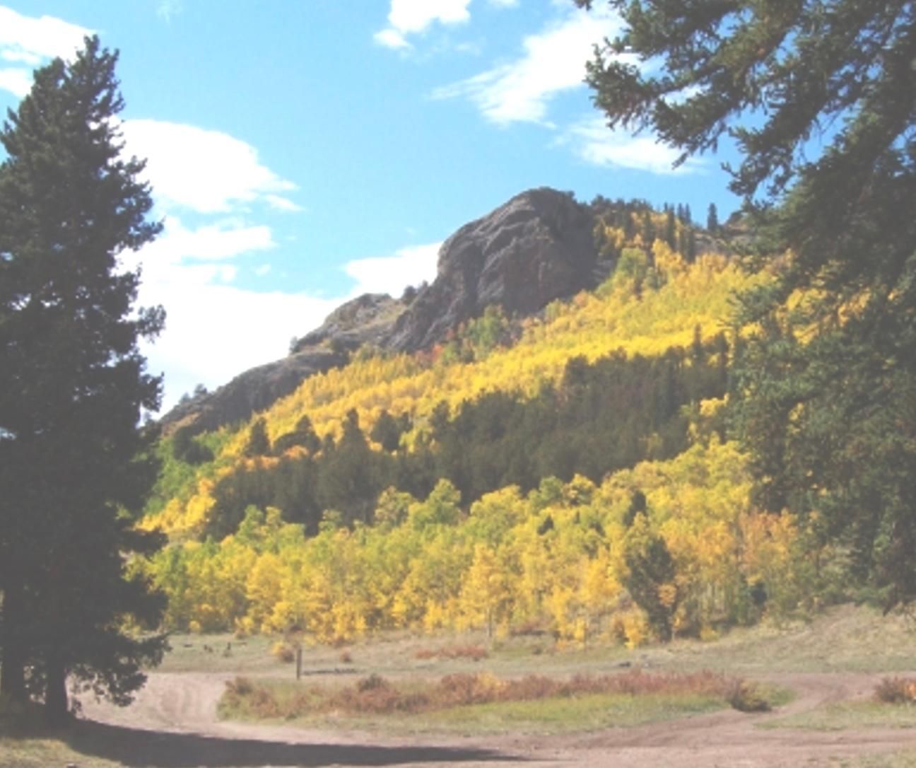 Fairplay, Park County, CO Recreational Property for sale Property ID