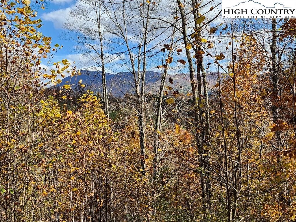 Zionville, Ashe County, NC Undeveloped Land for sale Property ID