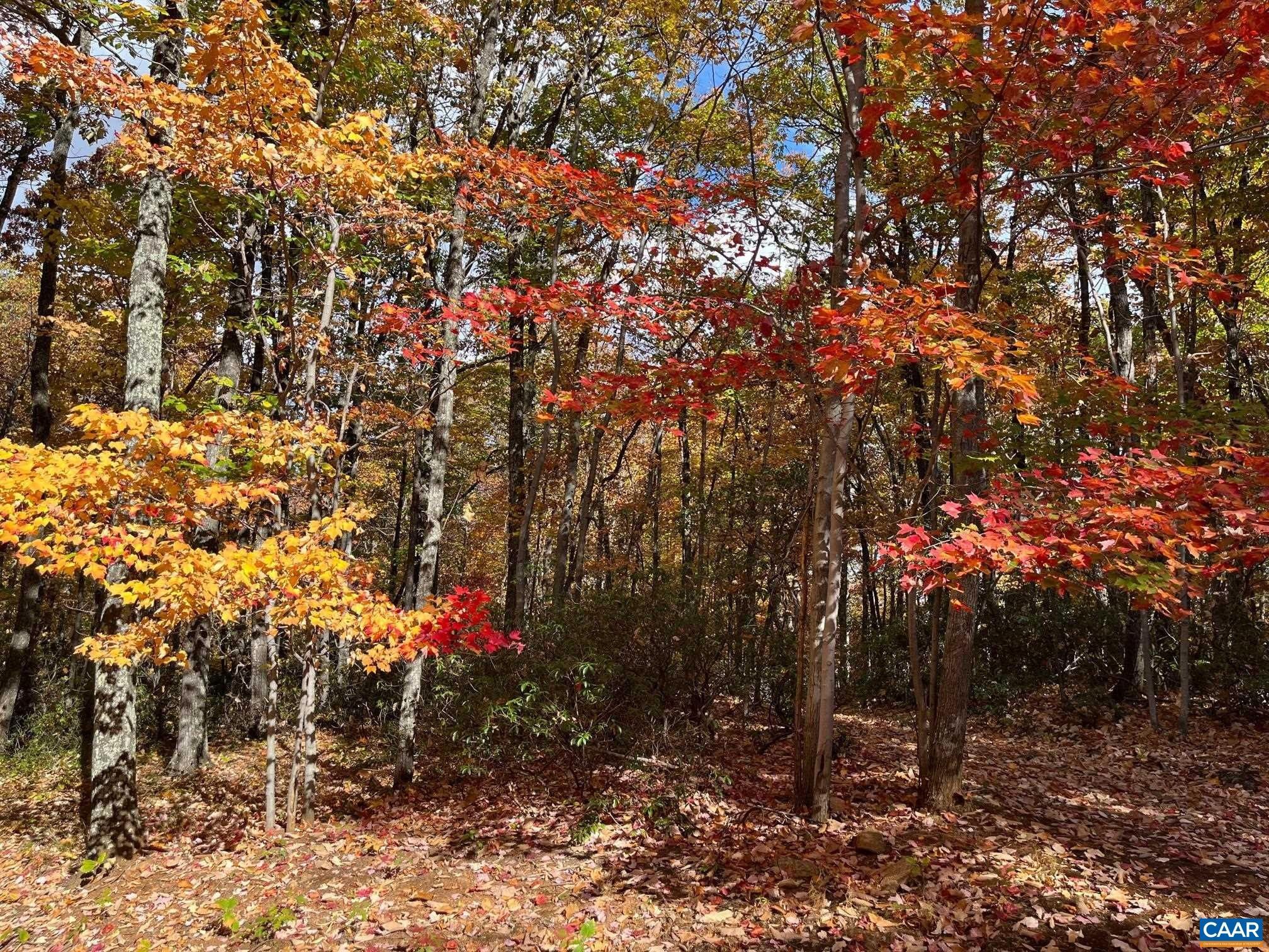 Nellysford, Nelson County, VA for sale Property ID 417192292 LandWatch