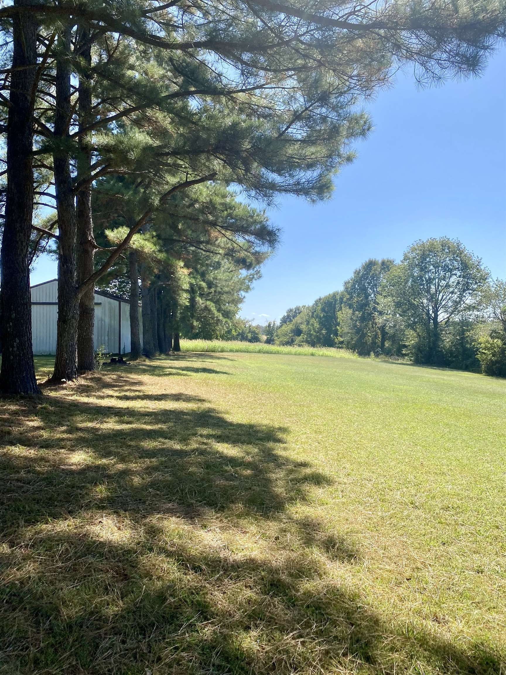 Mason, Fayette County, TN Undeveloped Land for sale Property ID