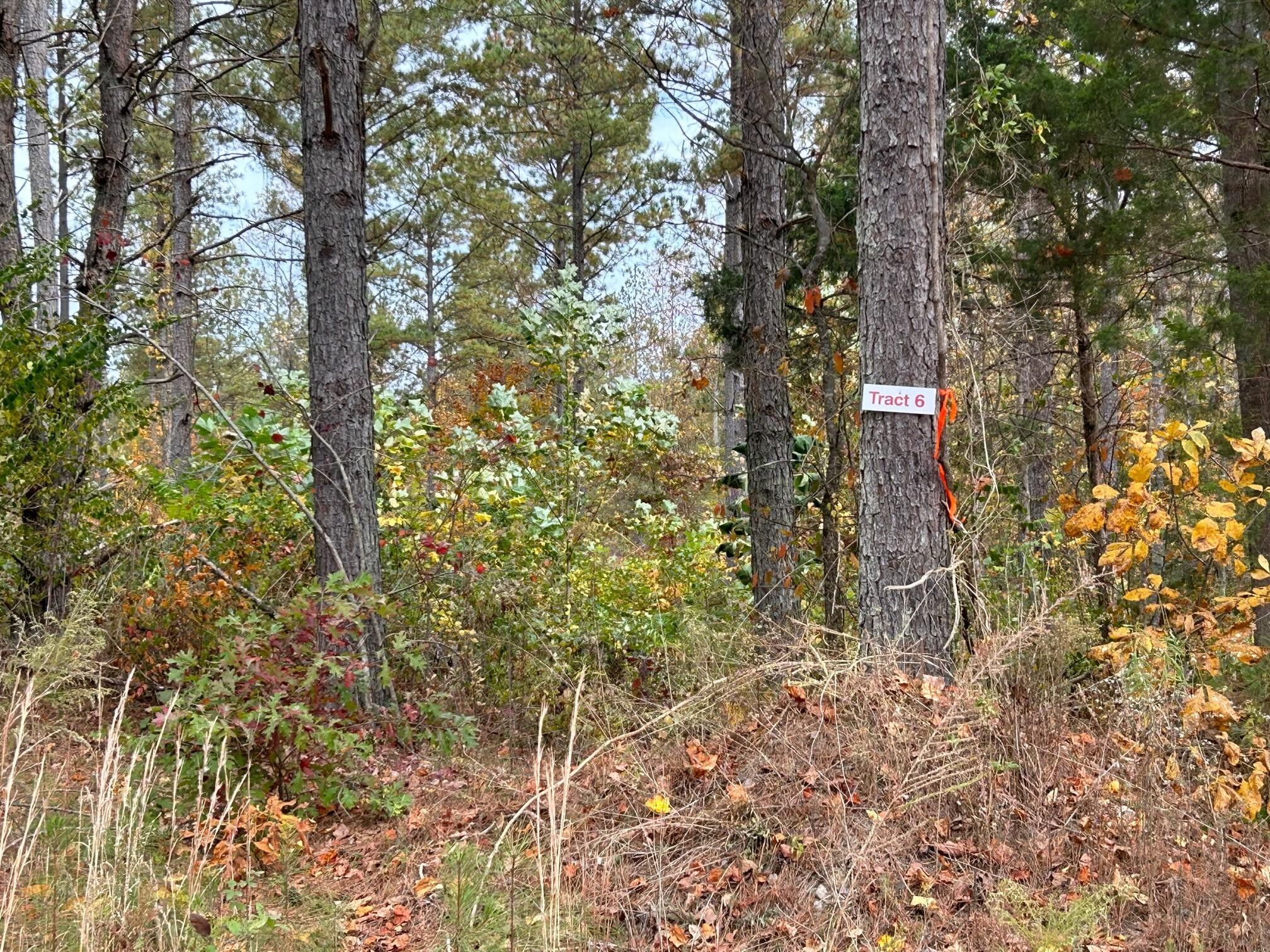 Niota, McMinn County, TN Undeveloped Land for sale Property ID