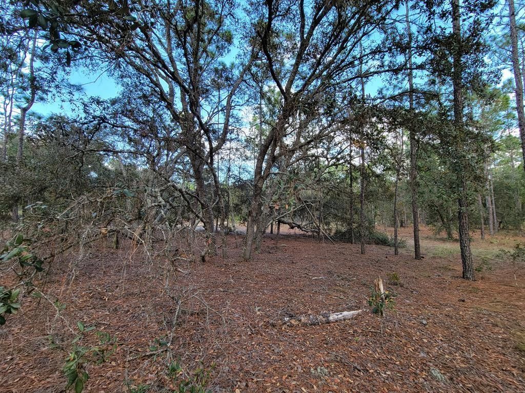 Dunnellon, Levy County, FL Undeveloped Land, Homesites for sale