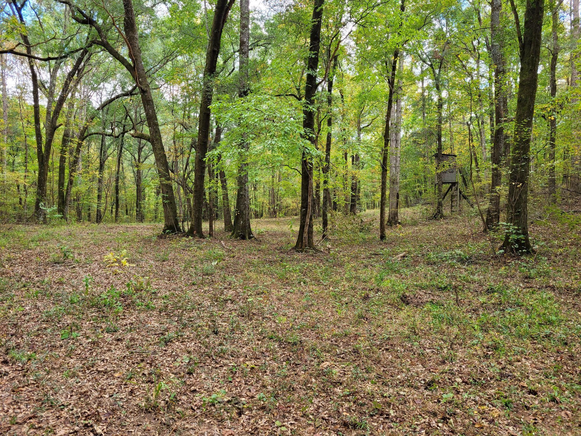609 acres in Reeltown, AL, 36078 MLS Tallapoosa 609 LandWatch