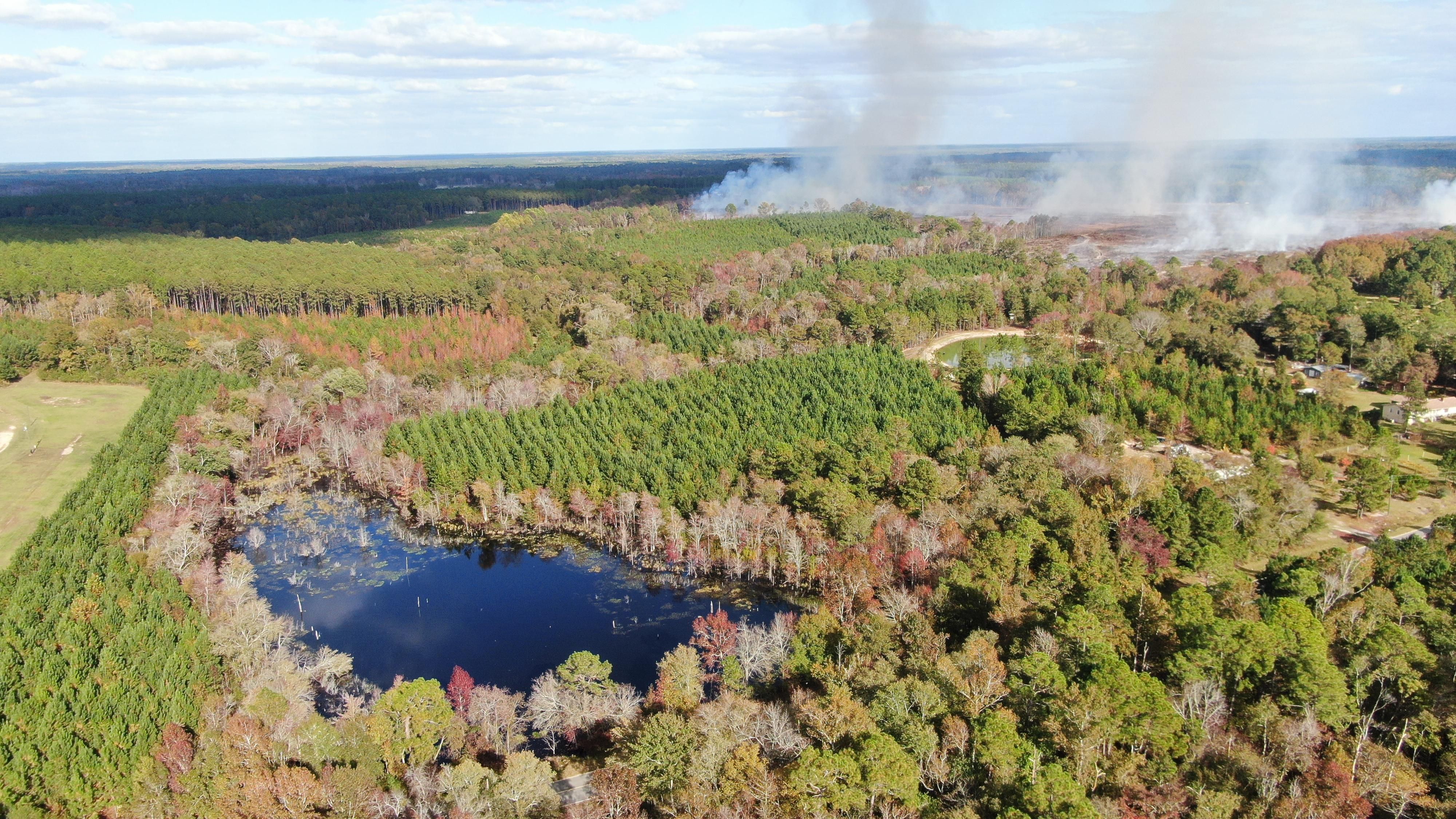 Adrian, Laurens County, GA Hunting Property for sale Property ID