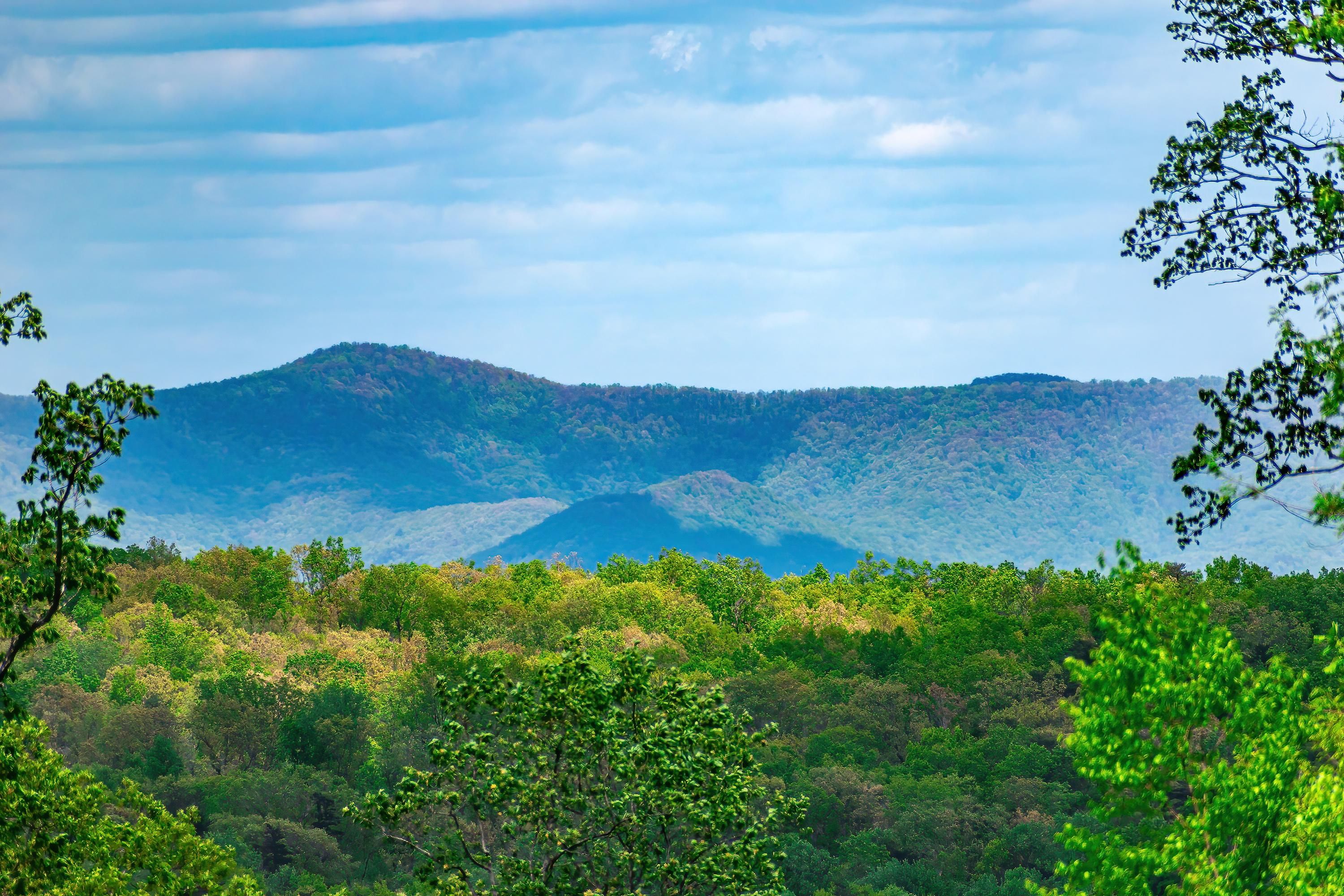 3.26AC Andes Ridge, Jasper, GA 30143 MLS 403689 LandWatch