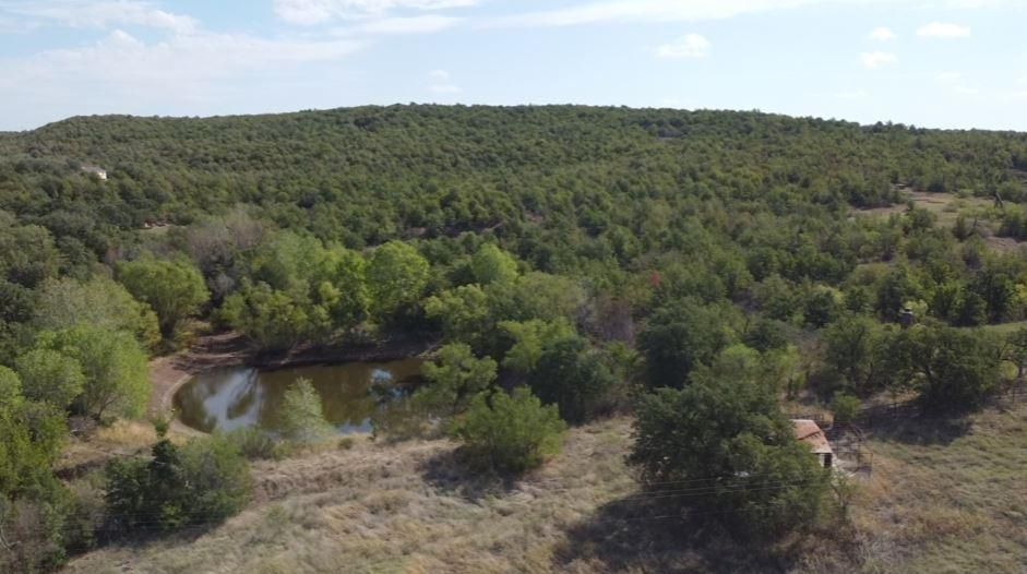Bowie, Montague County, TX Recreational Property, Hunting Property for
