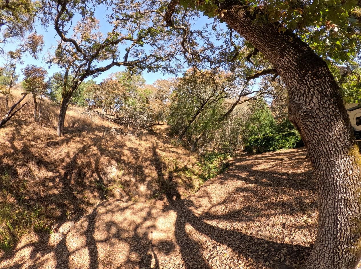 Santa Rosa, Sonoma County, CA Farms and Ranches, Undeveloped Land