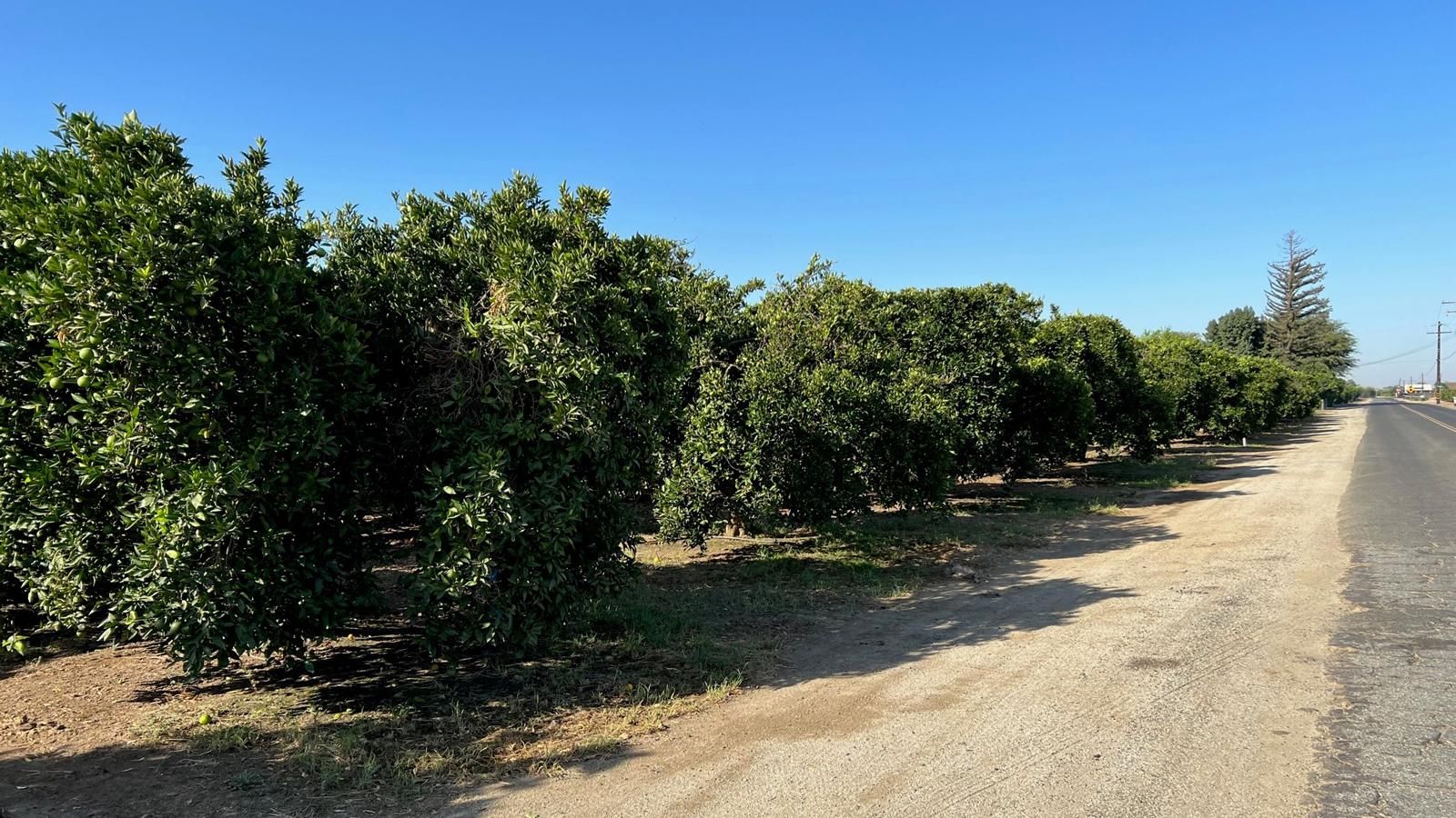 8.69 acres in Lindsay, CA, 93247 LandWatch