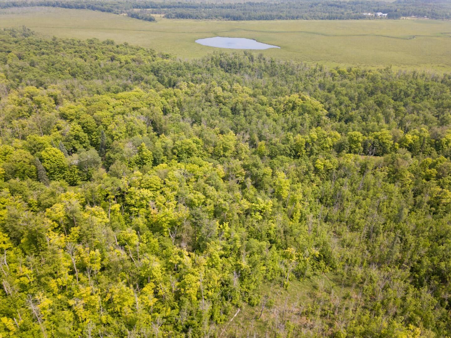 Brainerd, Crow Wing County, MN Recreational Property, Homesites for