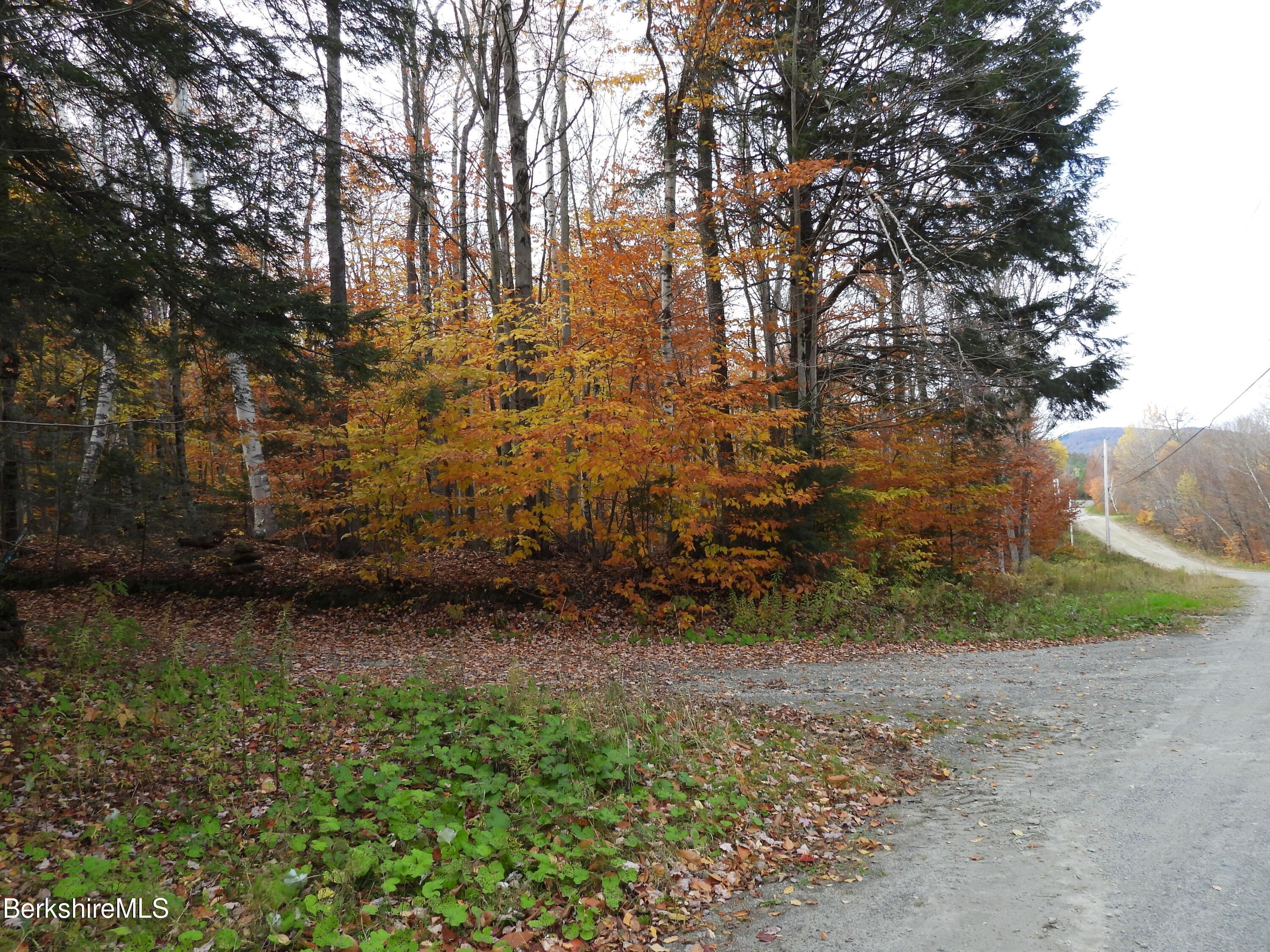 Stamford, Bennington County, VT Undeveloped Land for sale Property ID