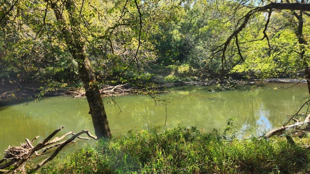 Poyen, Grant County, AR Recreational Property, Timberland Property