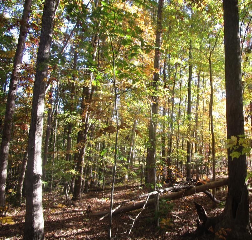 Burkeville, Nottoway County, VA Recreational Property, Hunting Property