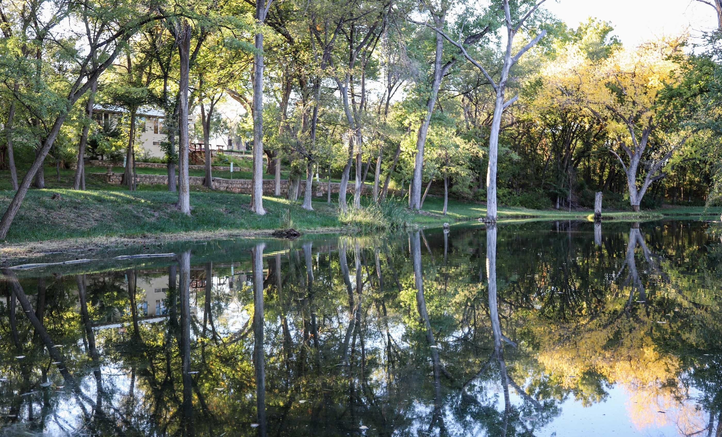 640 acres in Clarendon, TX, 79226 LandWatch