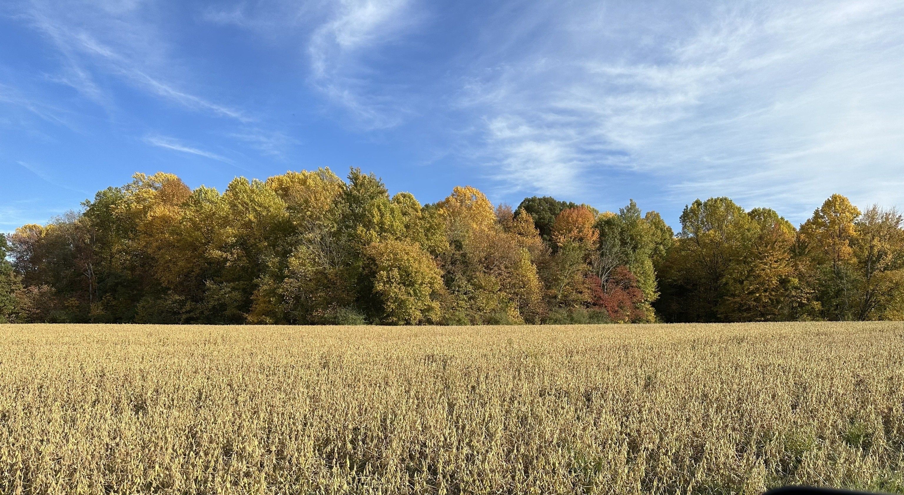 Elizabethtown, Jennings County, IN Undeveloped Land for sale Property