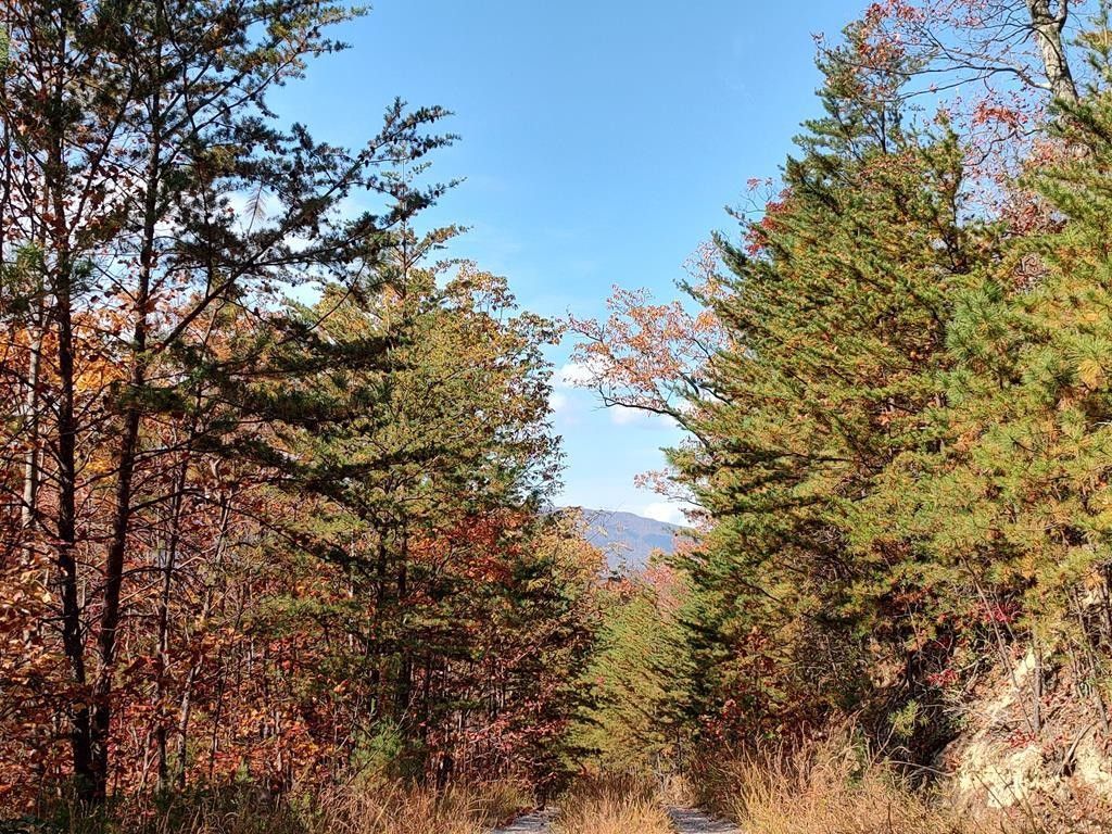 Cosby, Cocke County, TN Undeveloped Land, Homesites for sale Property