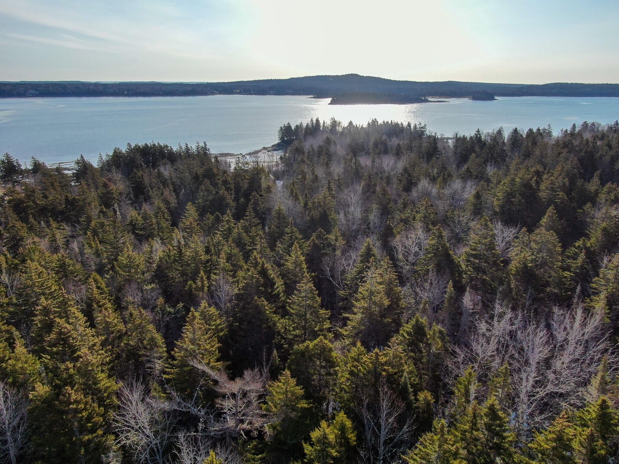 Steuben, Washington County, ME Undeveloped Land, Lakefront Property