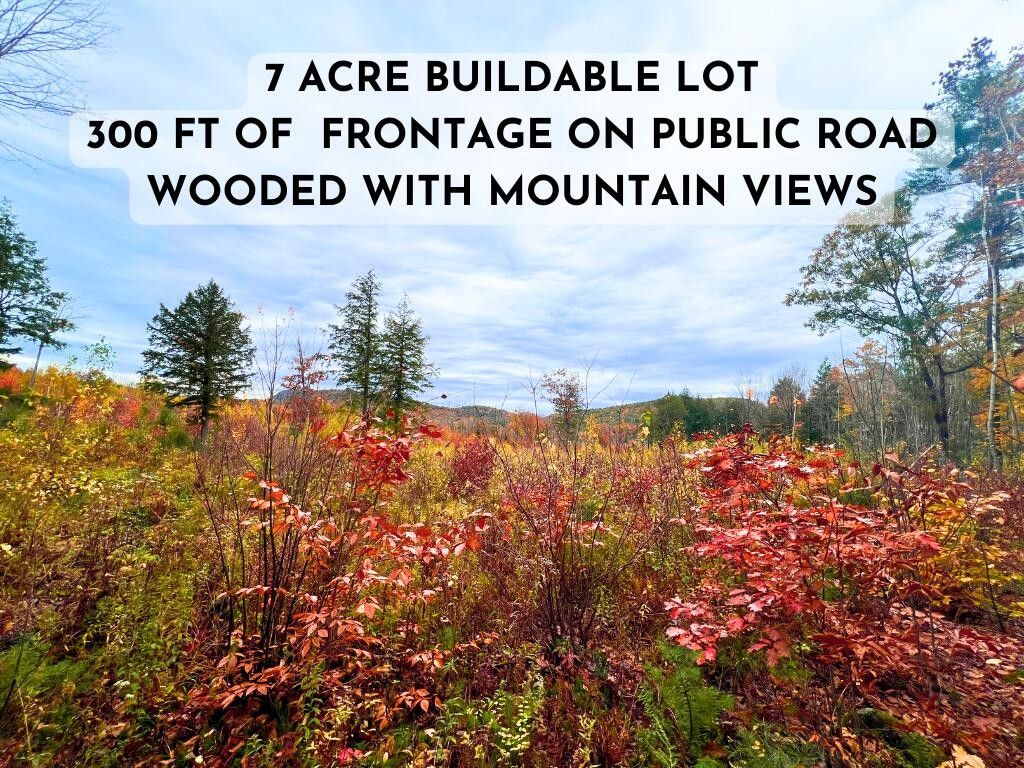 Porter, Oxford County, ME Undeveloped Land, Lakefront Property