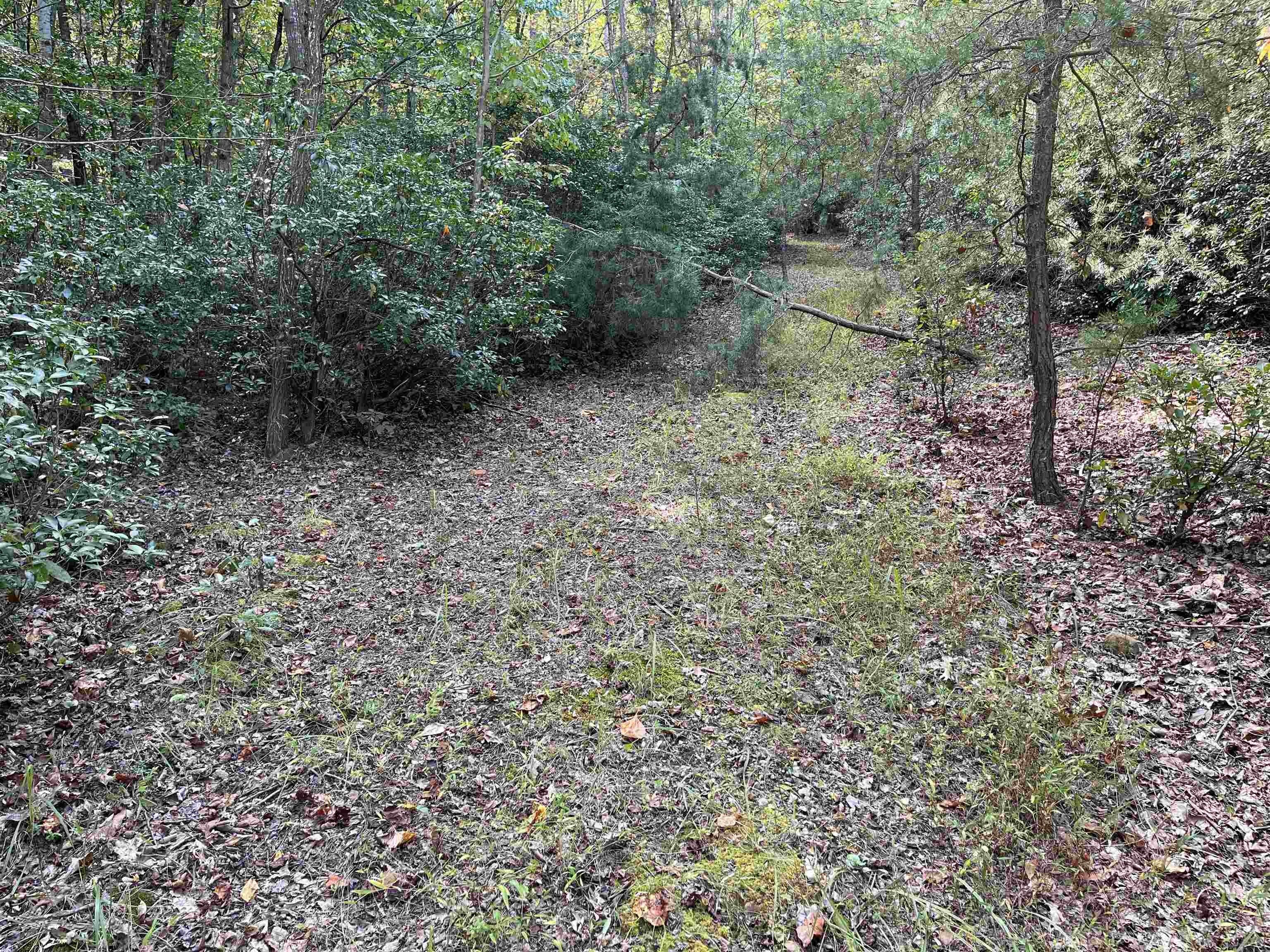 Glasgow, Rockbridge County, VA Undeveloped Land for sale Property ID