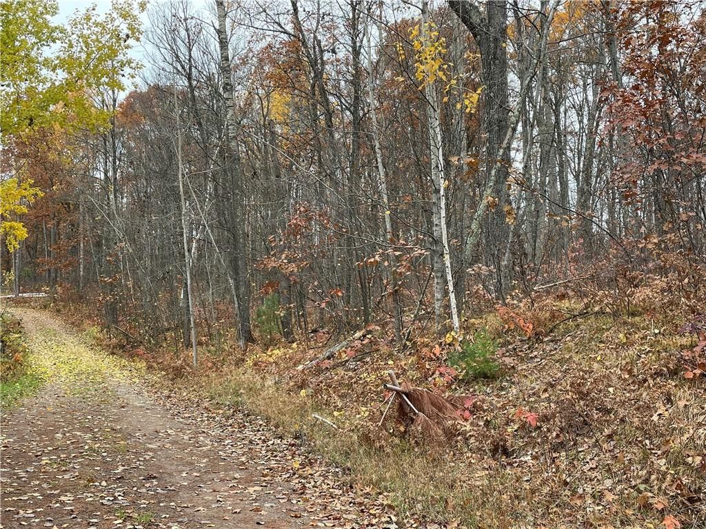 Hayward, Sawyer County, WI Undeveloped Land for sale Property ID 417044865 LandWatch