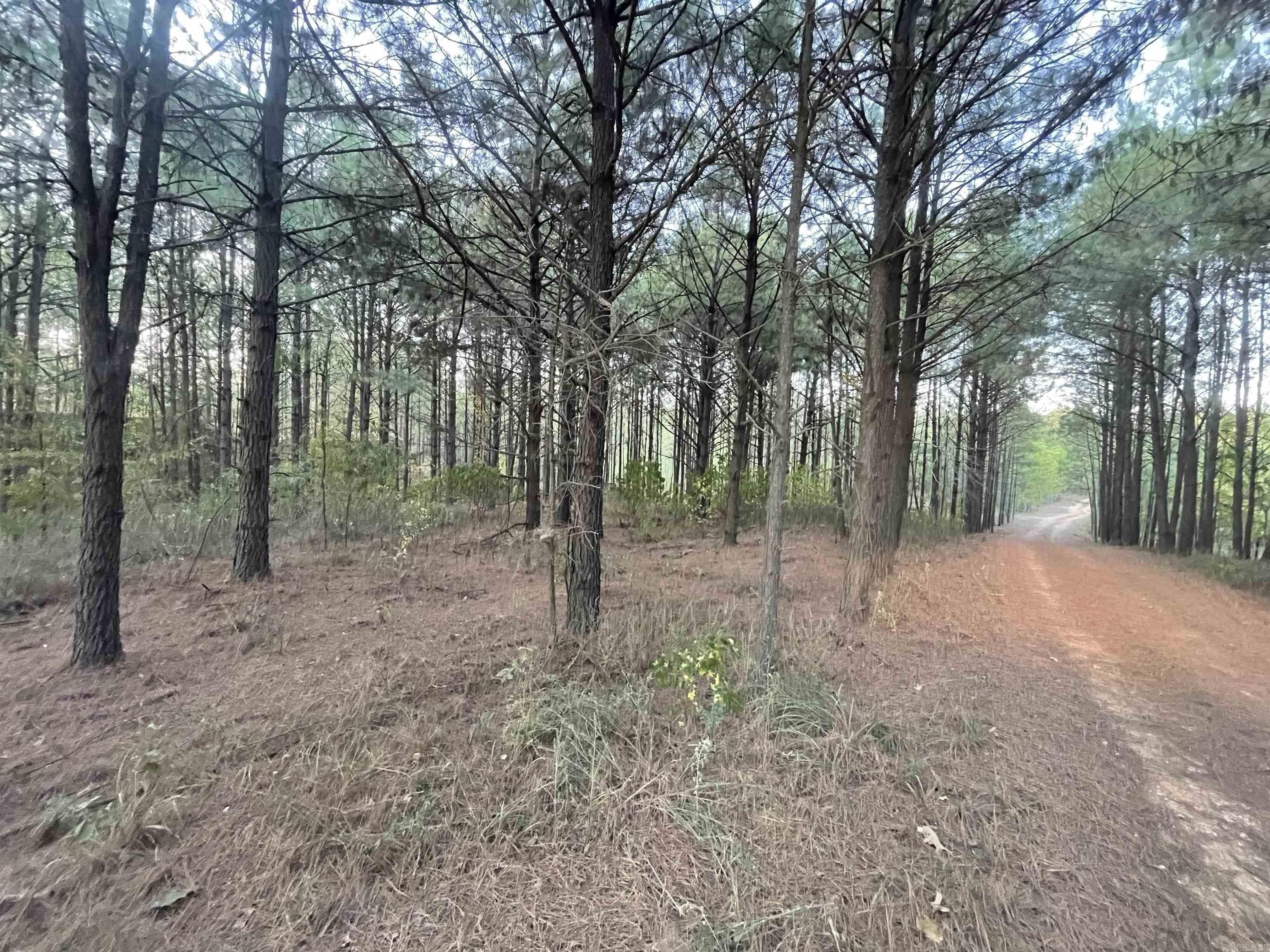 Hermitage, Bradley County, AR Undeveloped Land for sale Property ID