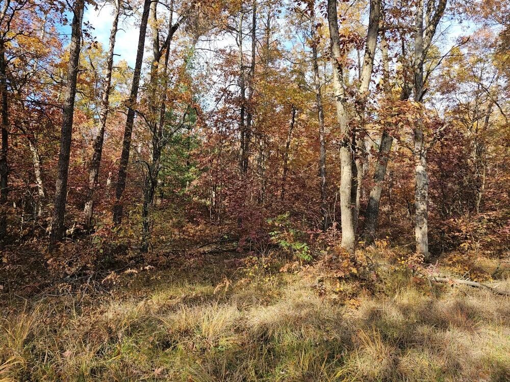 Baldwin, Lake County, MI Undeveloped Land, Homesites for sale Property