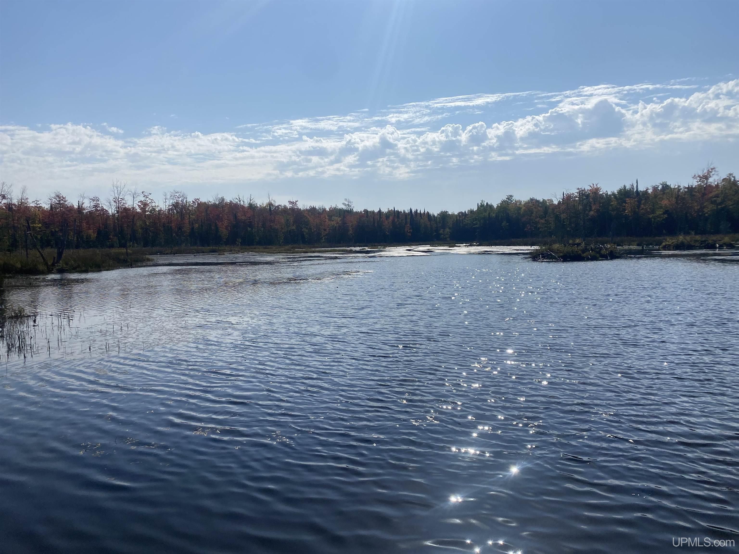 Ontonagon, Ontonagon County, MI Undeveloped Land for sale Property ID