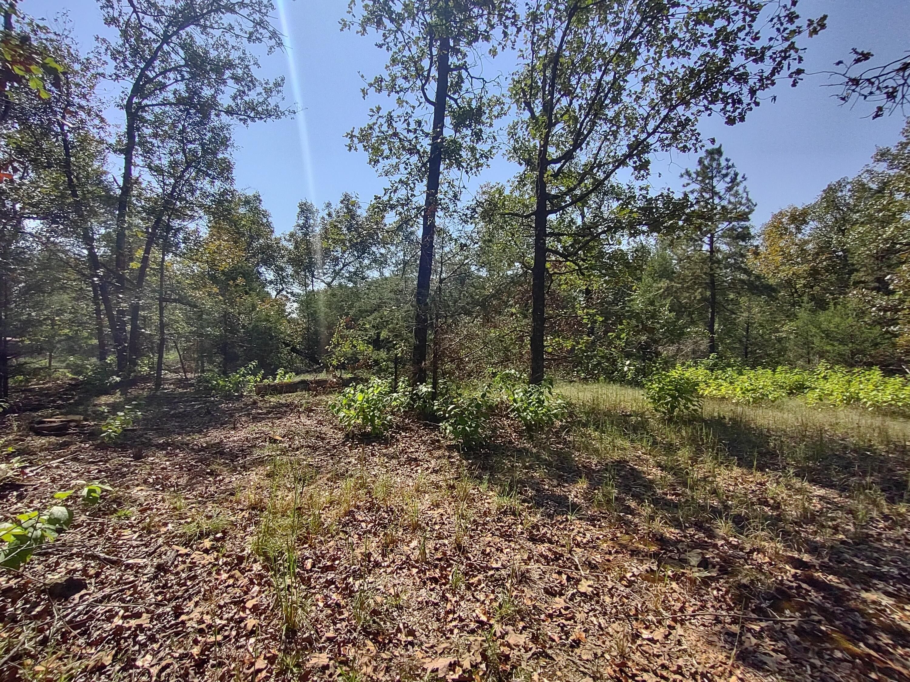 Cecil, Franklin County, AR Undeveloped Land, Homesites for sale