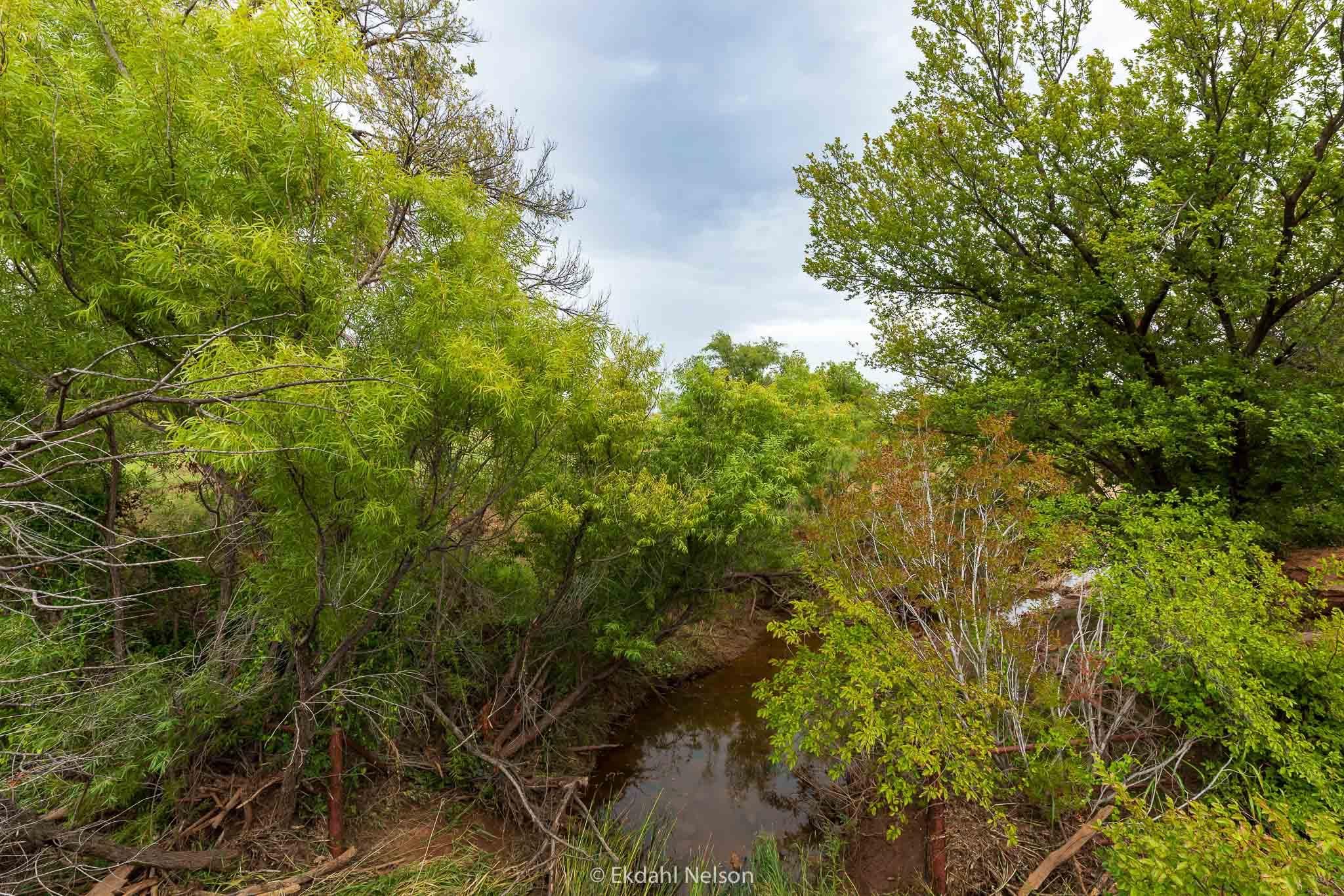 Sweetwater, Nolan County, TX Farms and Ranches, Recreational Property