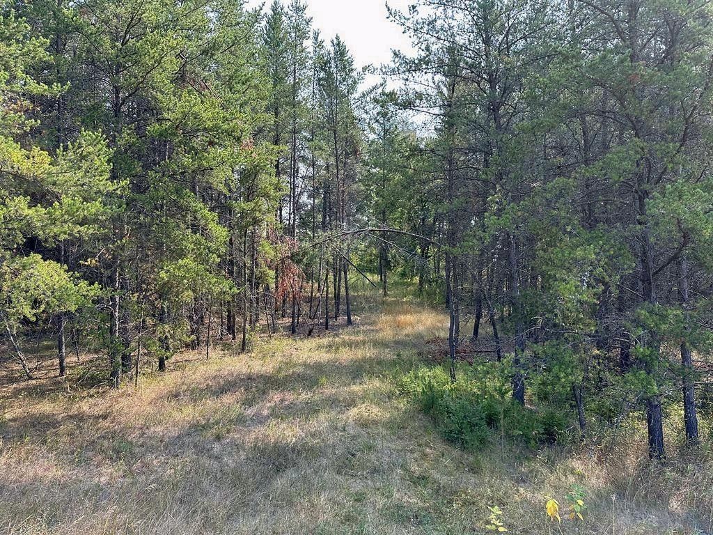 Park Rapids, Hubbard County, MN Undeveloped Land, Lakefront Property, Waterfront Property