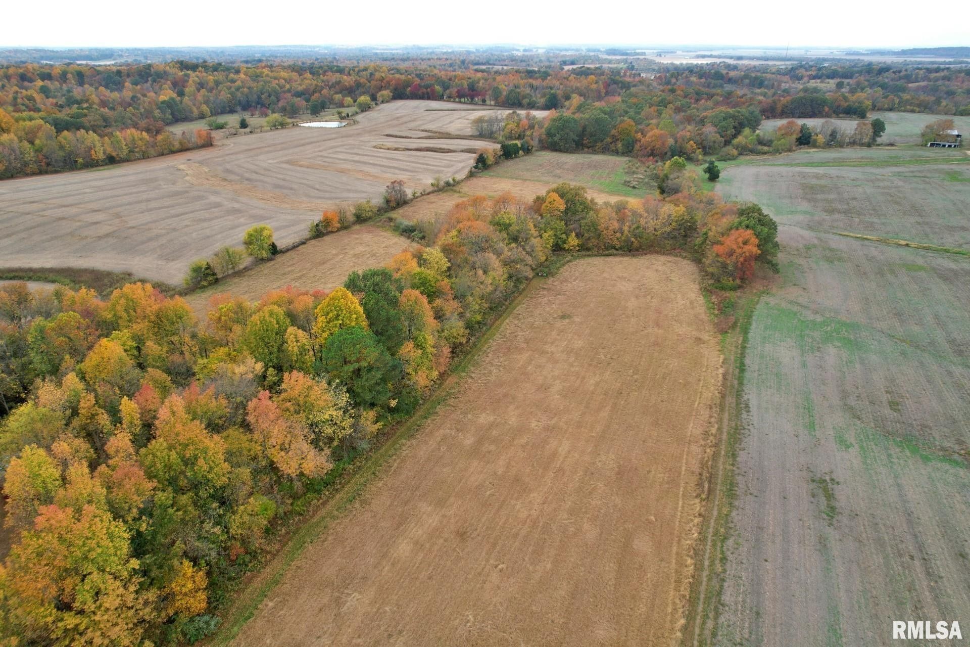 Metropolis, Massac County, IL Undeveloped Land for sale Property ID