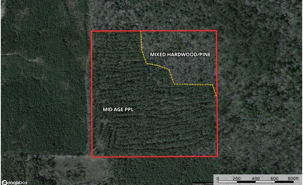 40 acres in Richton, MS, 39476 MLS 33358 LandWatch
