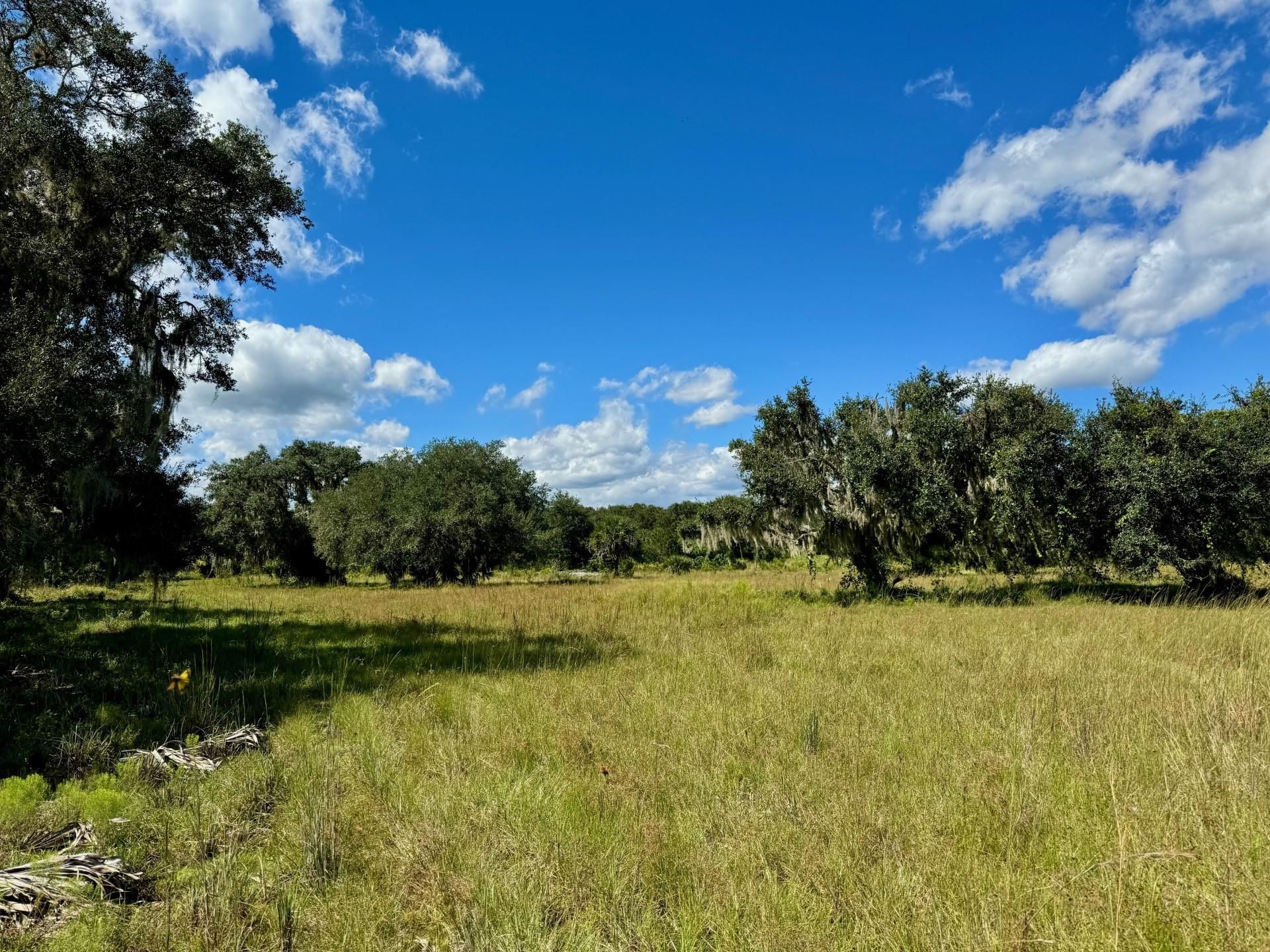 Okeechobee, Okeechobee County, FL Farms and Ranches, Recreational