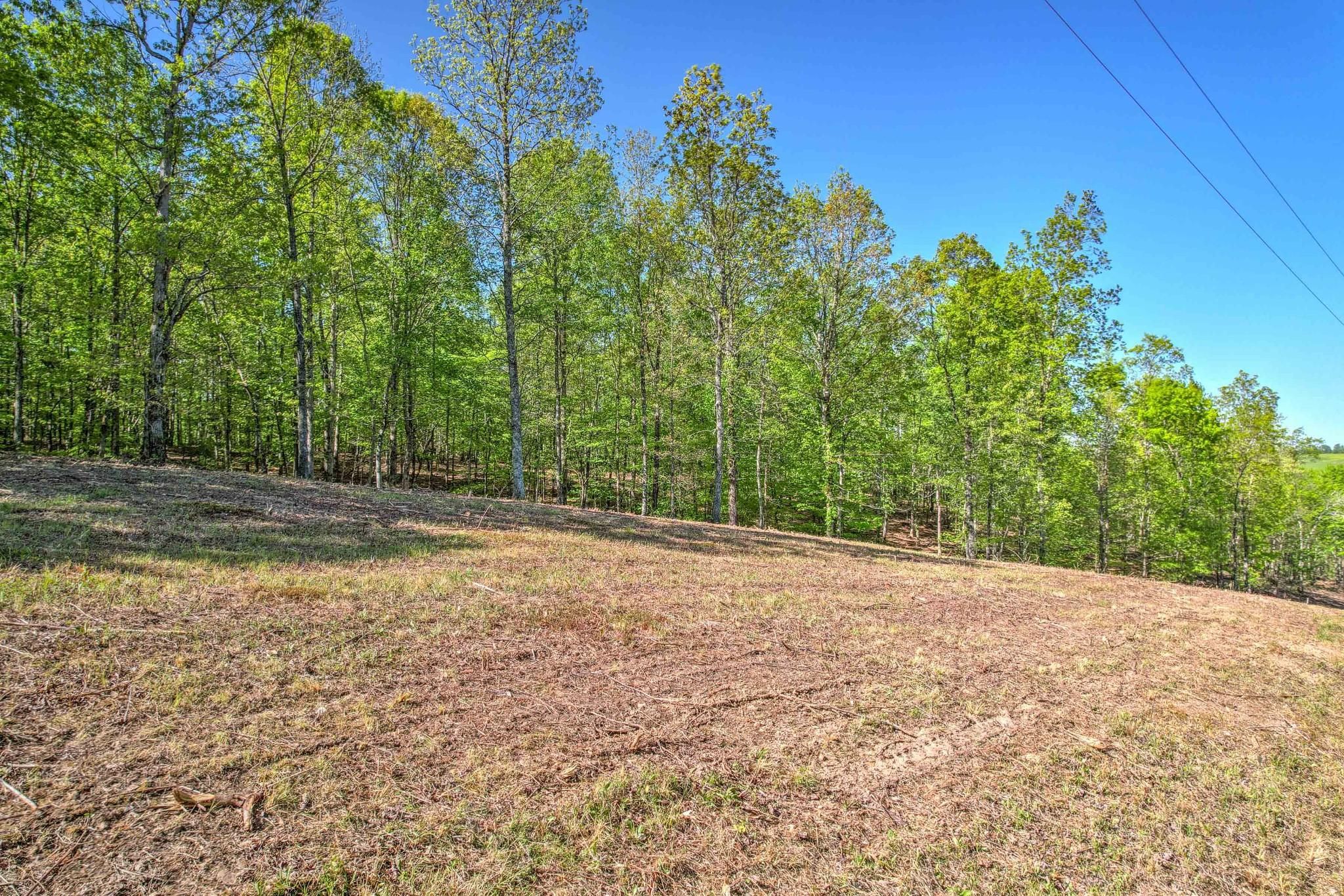 Chief Creek Rd, Lawrenceburg, TN 38464 MLS 2586636 LandWatch