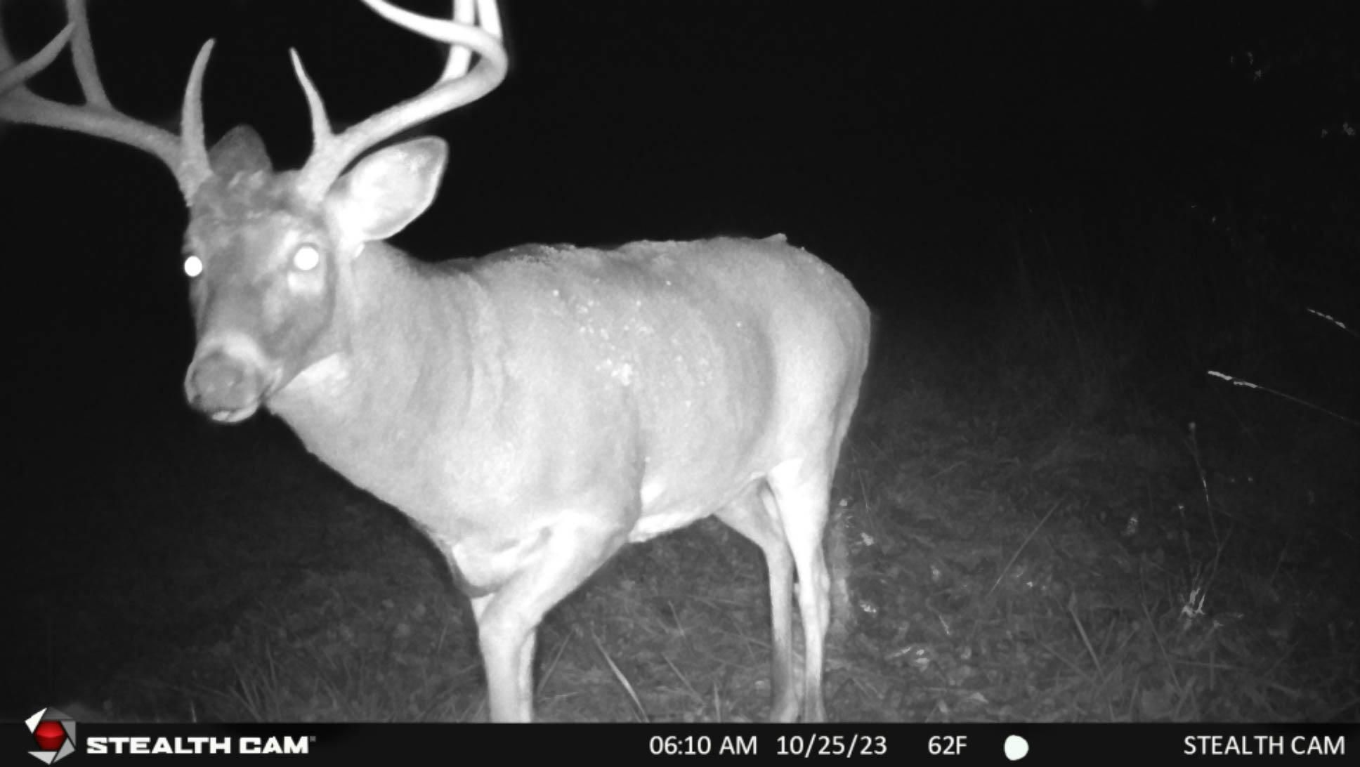 N8438 9th Ave S, New Lisbon, WI 53950 MLS 1966623 LandWatch