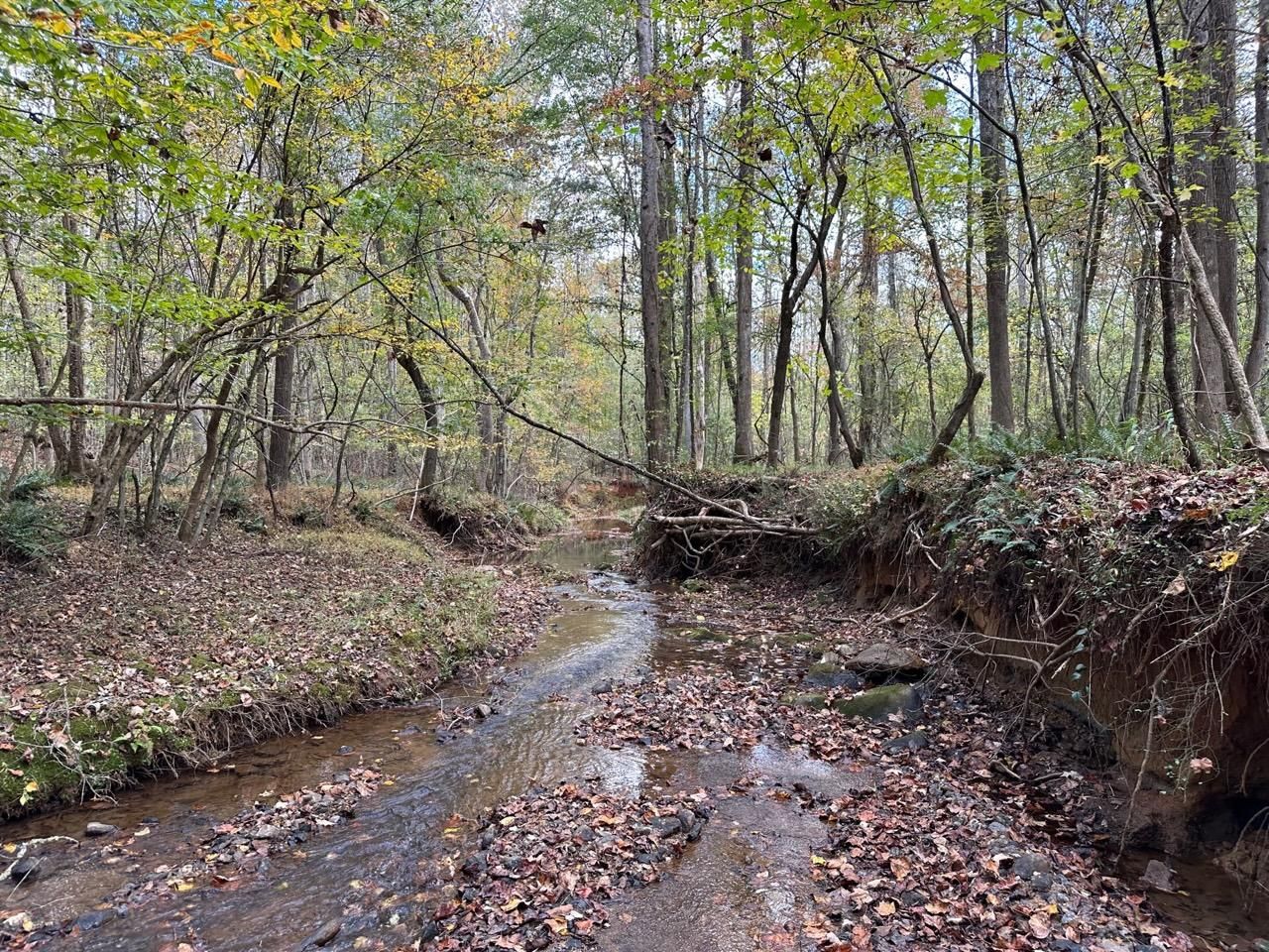 Jefferson, Jackson County, GA Recreational Property, Timberland