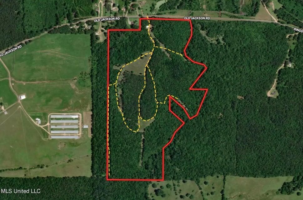 3462 Old Jackson Road, Forest, MS 39074 MLS 4067640 LandWatch