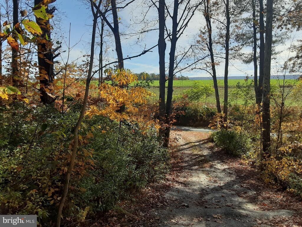 Port Royal, Juniata County, PA Undeveloped Land for sale Property ID