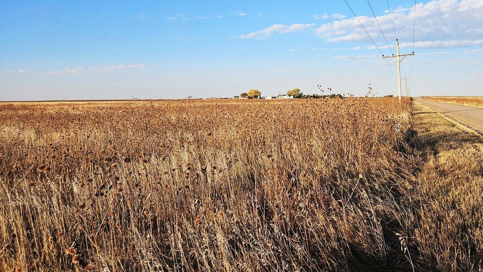 Sterling, Logan County, CO Farms and Ranches for sale Property ID