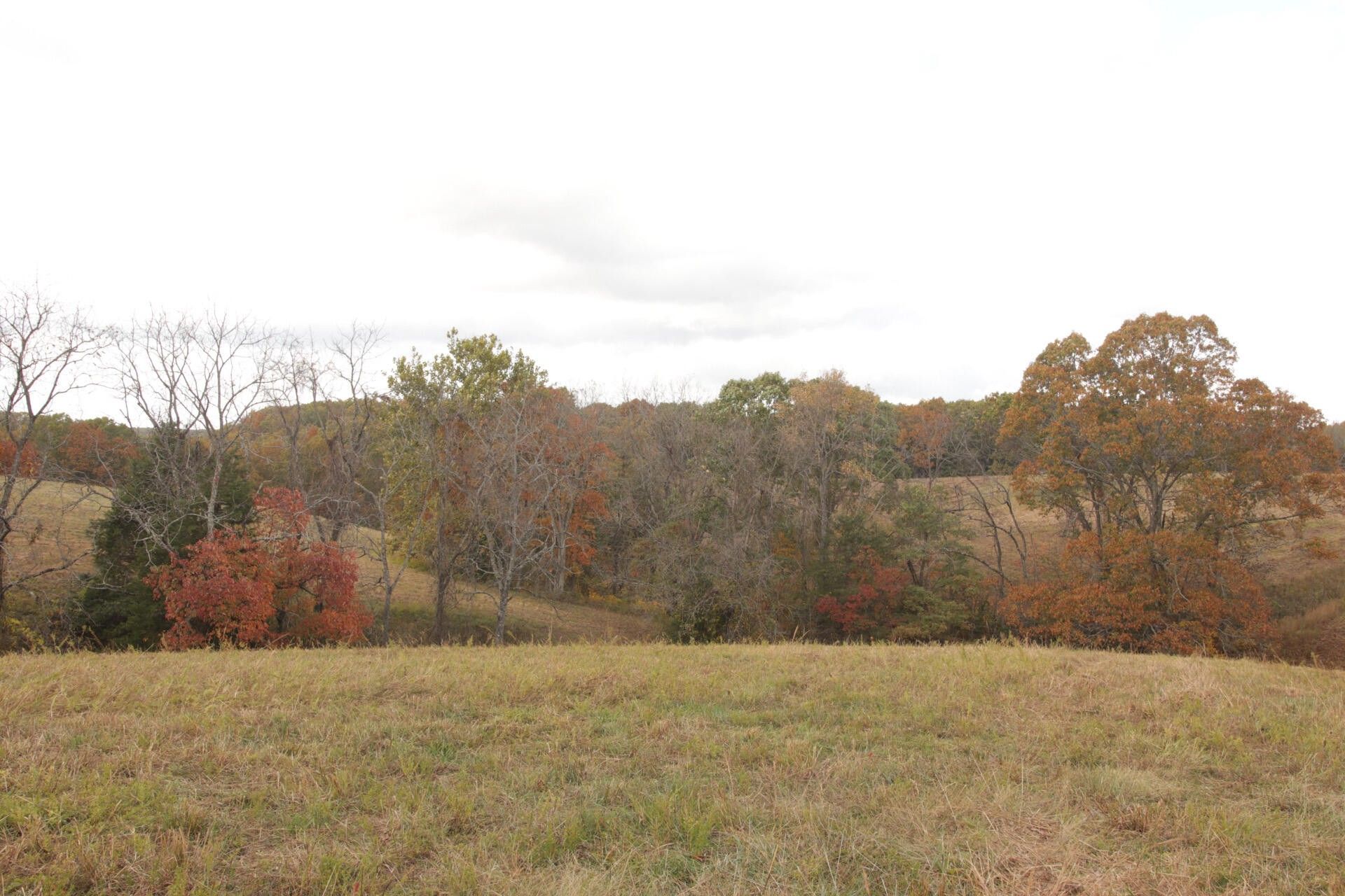 Rueter, Taney County, MO Undeveloped Land for sale Property ID