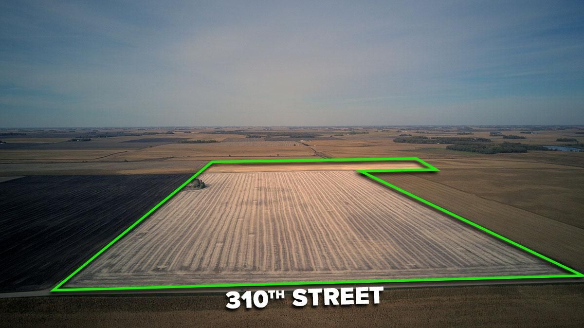 Freeborn, Freeborn County, MN Farms and Ranches for auction Property ID