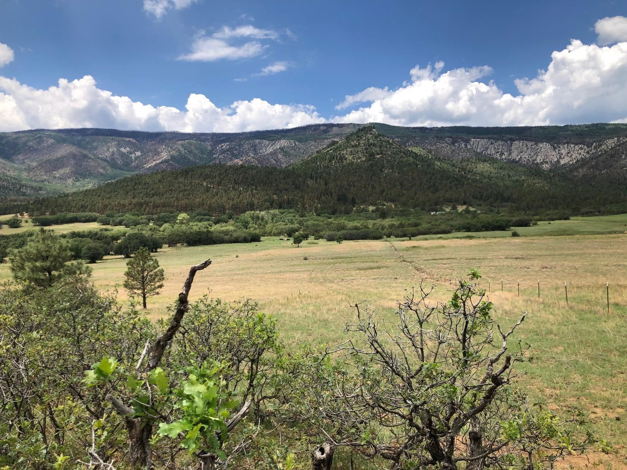 Cr A034 Williams Canyon 62 Acres, Guadalupita, NM 87722 MLS 110990
