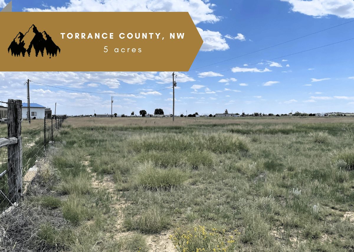 Mcintosh, Torrance County, NM Recreational Property, Undeveloped Land