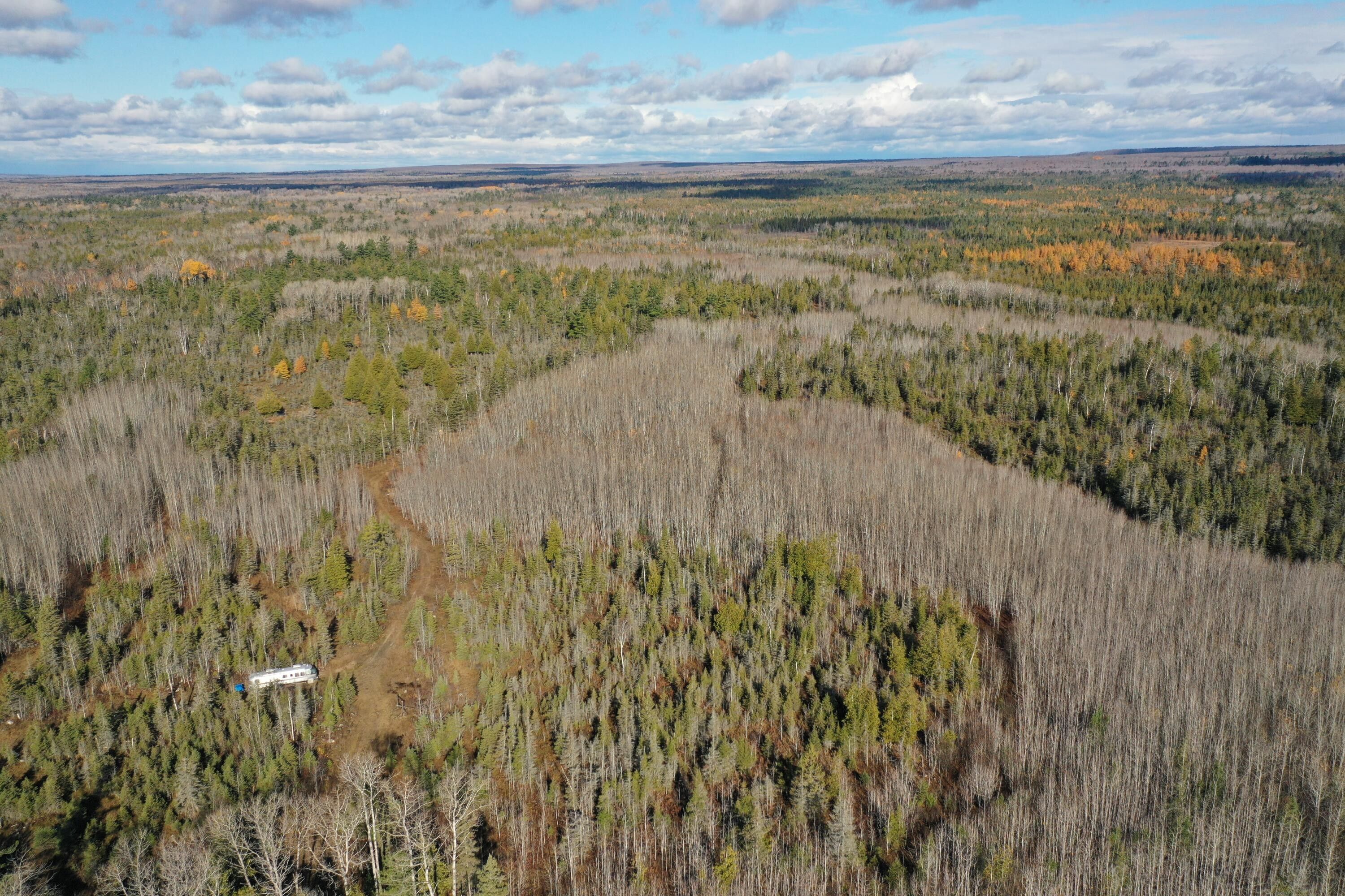 Hessel, Mackinac County, MI Undeveloped Land, Lakefront Property