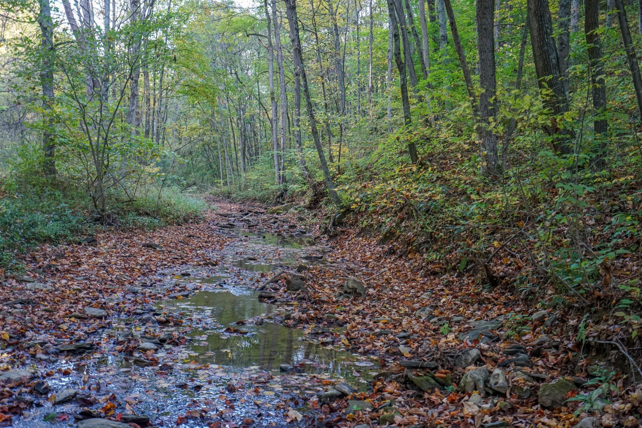 Shimp Run, Caldwell, OH 43724 LandWatch