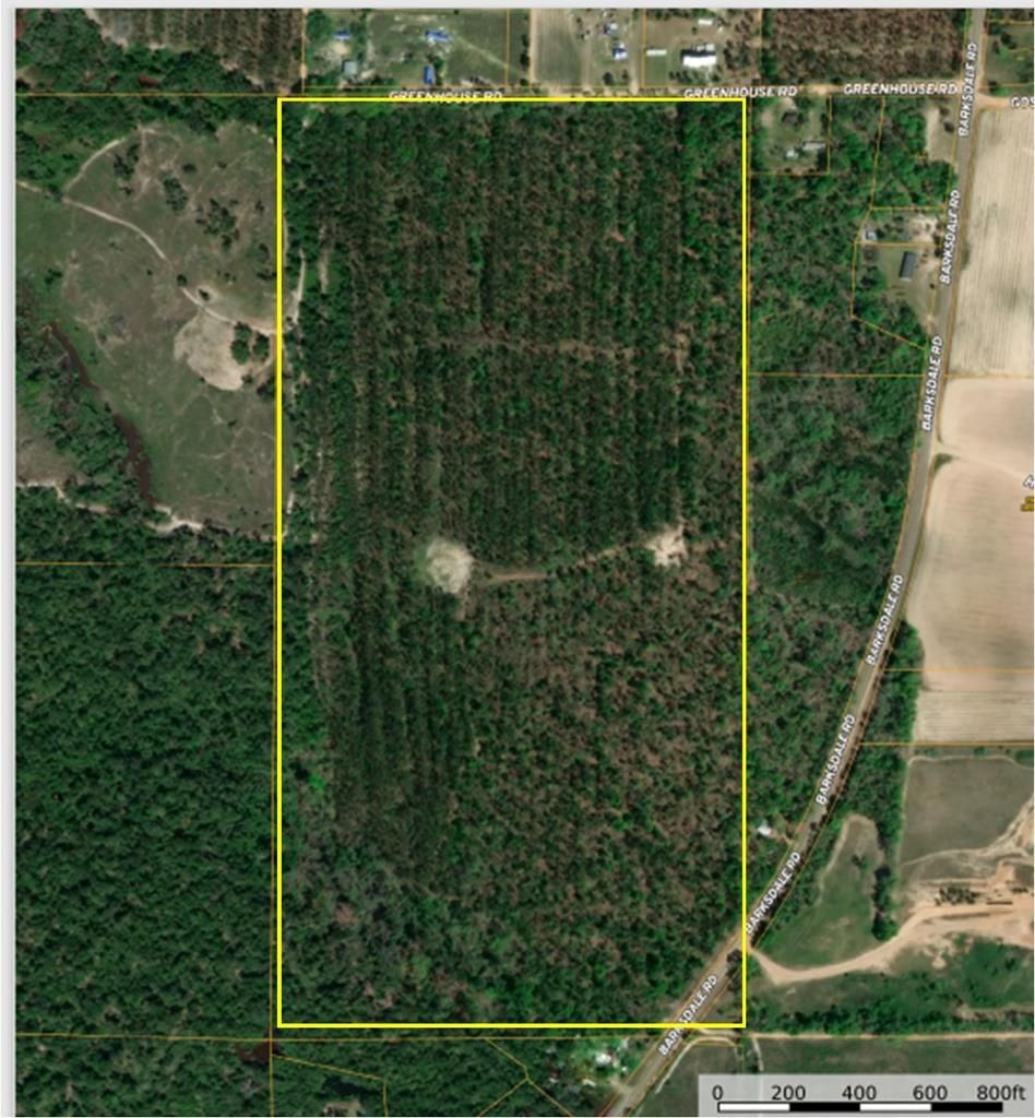 Gordon, Houston County, AL Recreational Property, Timberland Property