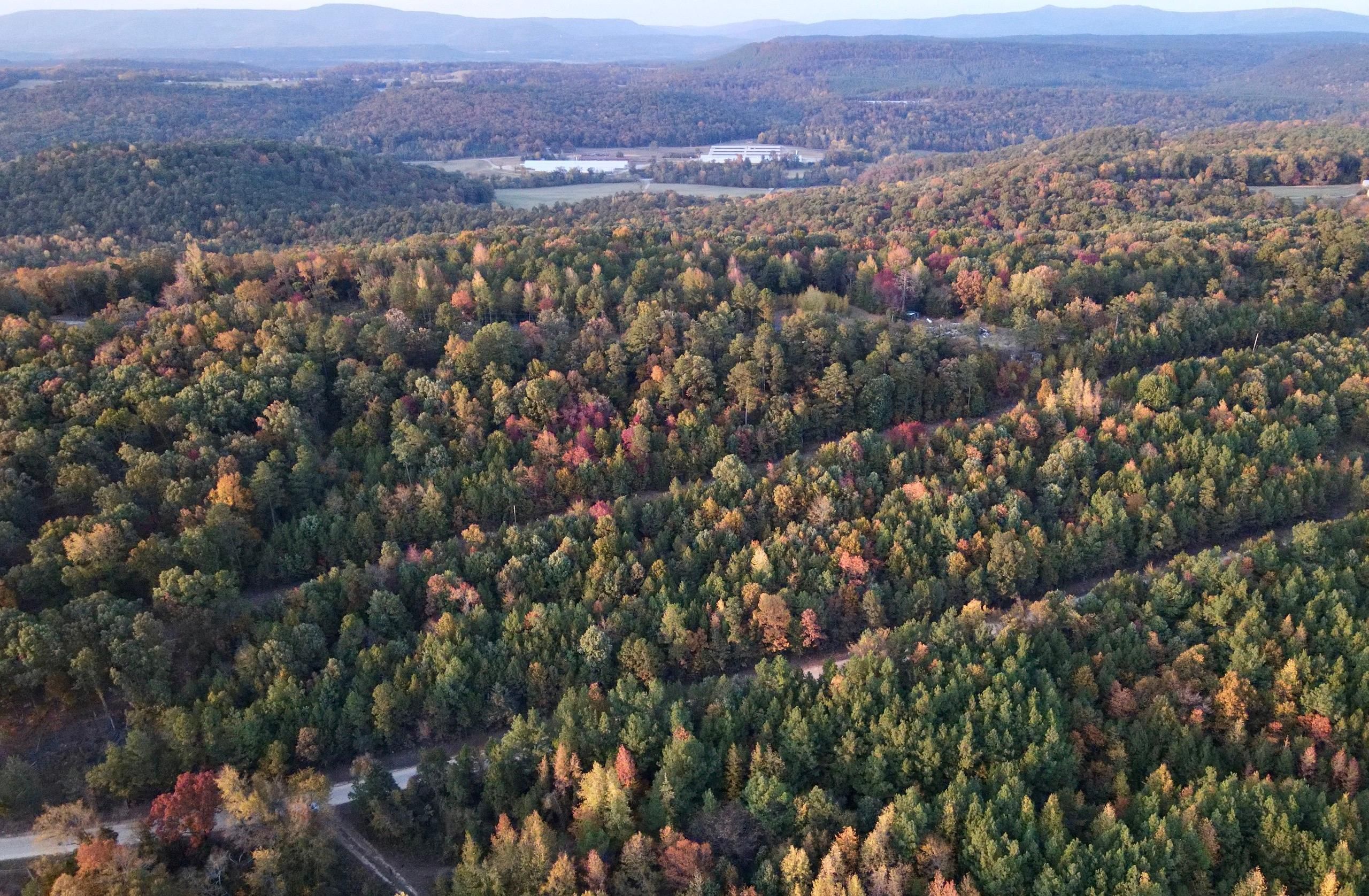 Lamar, Johnson County, AR Recreational Property, Undeveloped Land for
