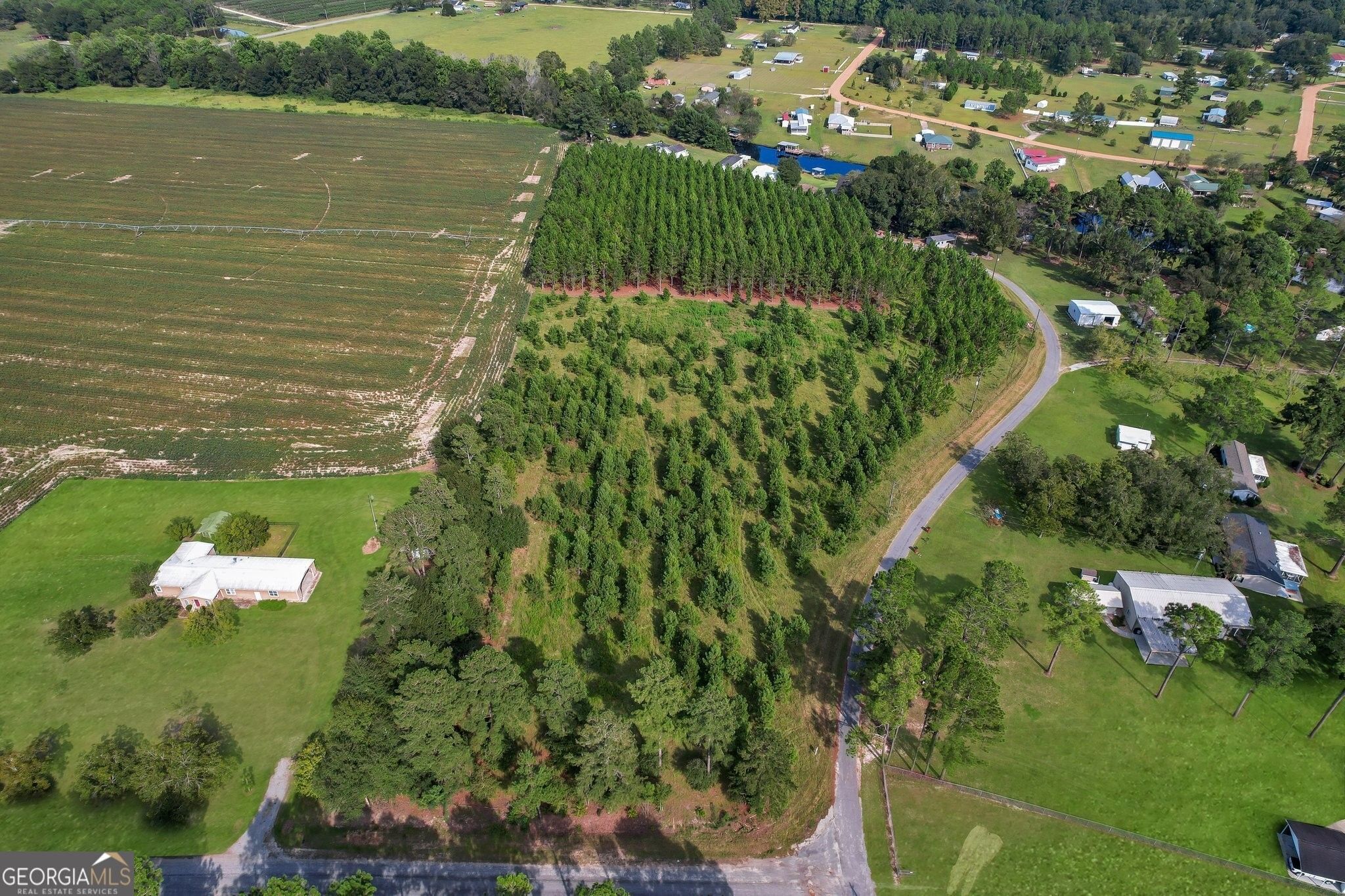 Baxley, Appling County, GA Farms and Ranches for sale Property ID